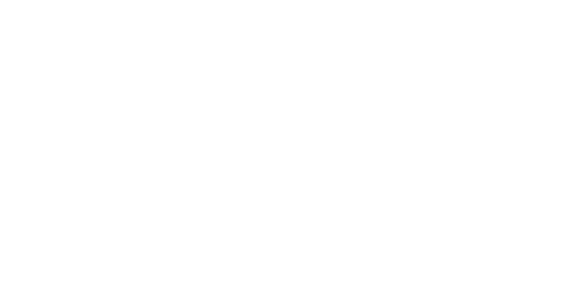 Koru Reporting